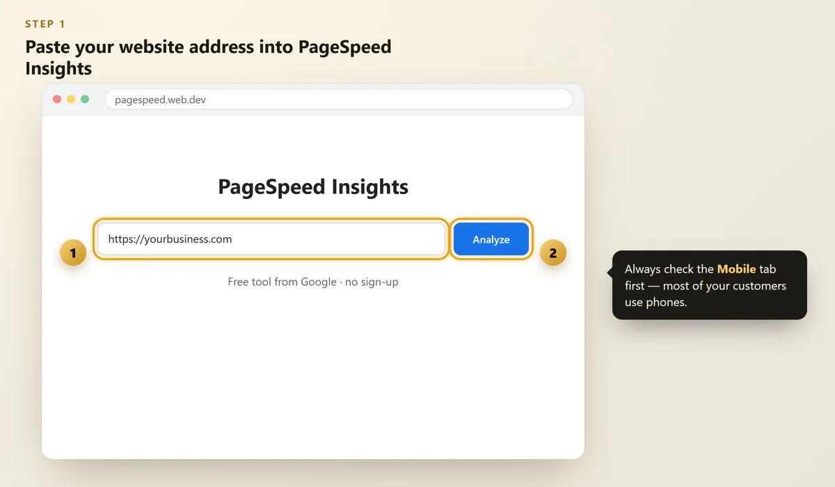 PageSpeed Insights page with the website address field and Analyze button highlighted